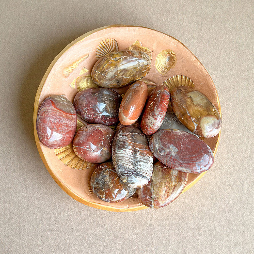 madeira-fossil-suryaristais madeira fossil surya cristais