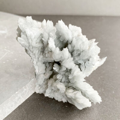 barite arborescente surya cristais