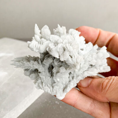 barite arborescente surya cristais