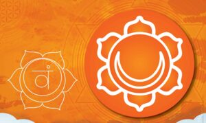 chakra sacral surya cristais