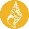 academia surya cursos online cristaloterapia