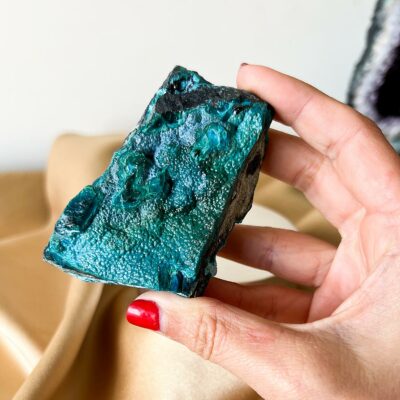 malacola em bruto surya cristas