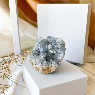 drusa de celestite surya cristais