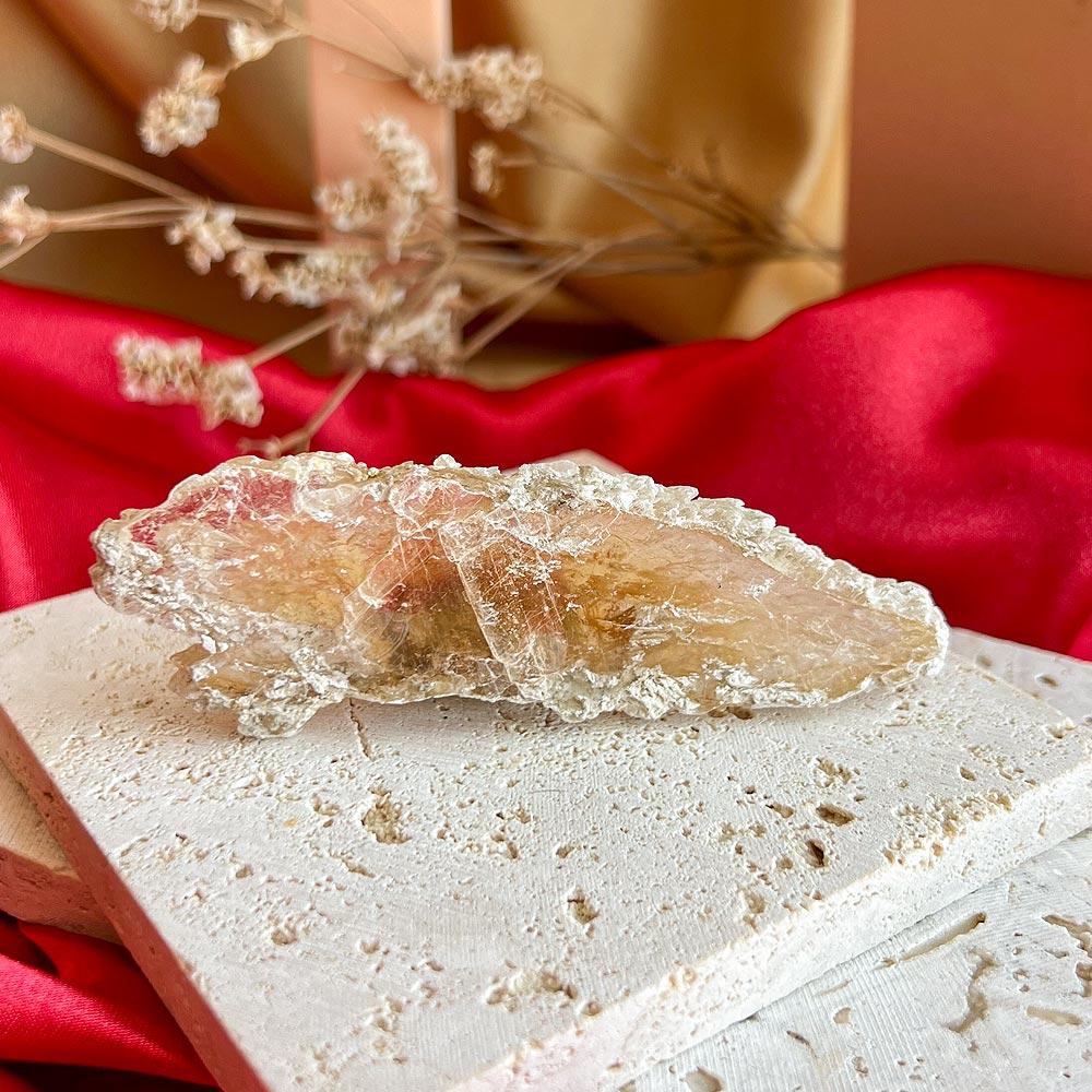 selenite-portuguesa-fishtail-suryacristais1 selenite fish tail portuguesa surya cristais