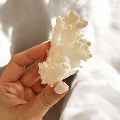 aragonite coraloide surya cristais