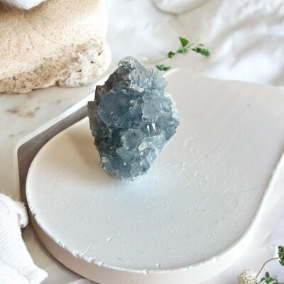 drusa de celestite surya cristais
