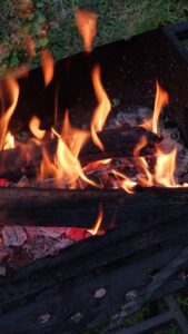 ano do cavalo 2026 surya cristais