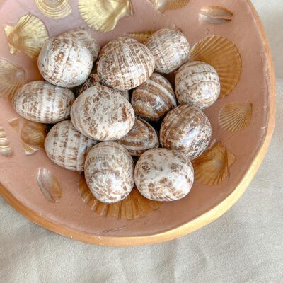 aragonite suryacristais