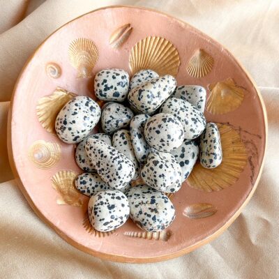 jaspe dalmata surya cristais