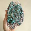 rosasite surya cristais